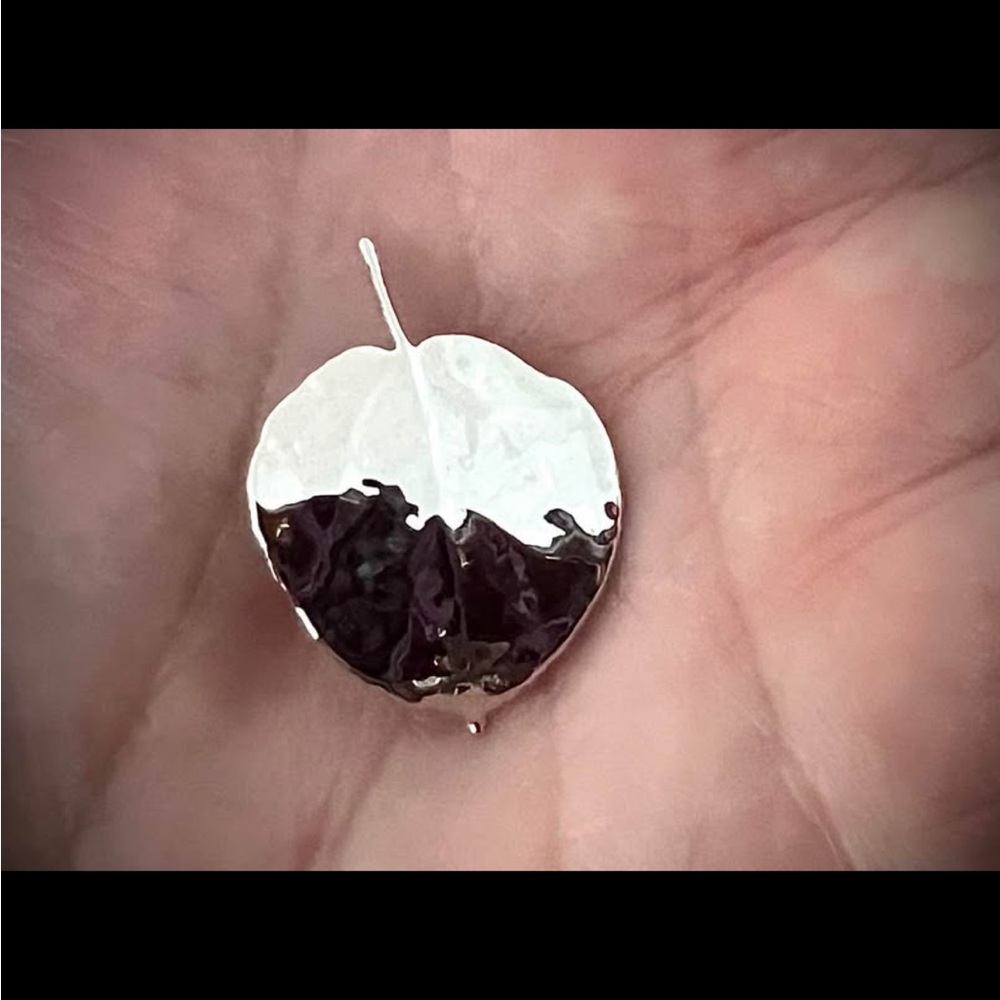 CHARM Pendant Silver Leaf 1β